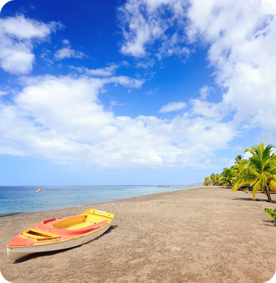 Best Disney Land Vacations Planner & Travel Agent in Florida